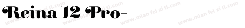 Reina 12 Pro字体转换